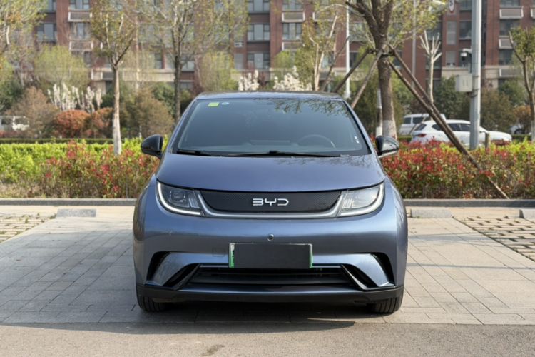 Used BYD Dolphin 2024 Honor Edition 420km Freedom Version Exterior 1