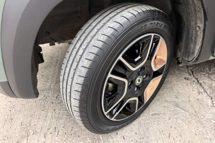 Used Dongfeng NAMMI EX1 2023 PRO Light Wind Edition Lightning Model
