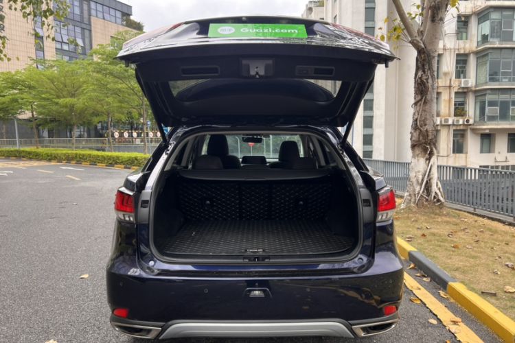 Used Lexus RX 2020 Revised Version 300 Two-Wheel Drive Elite Edition
