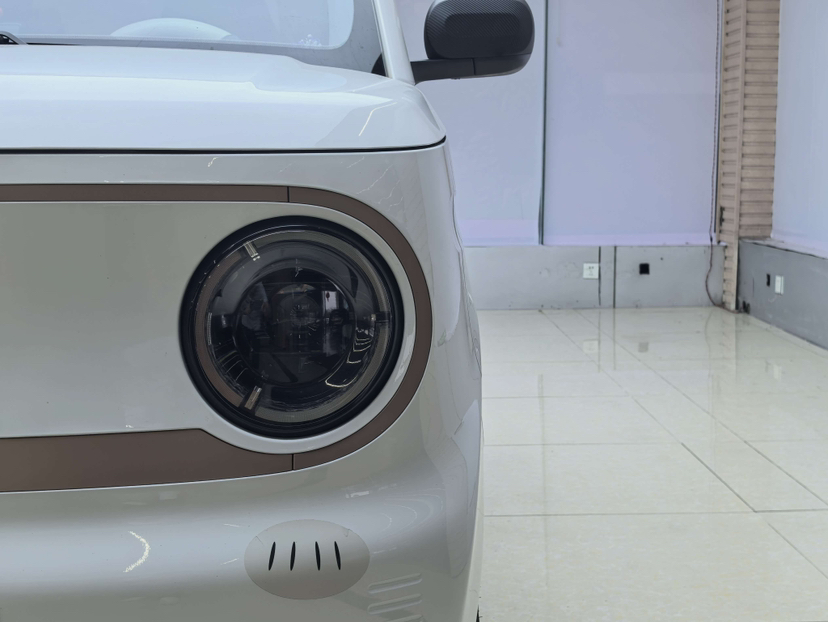 Geely Galaxy Panda 2024 Panda Mini 200km Endurance Bear — снимка 14