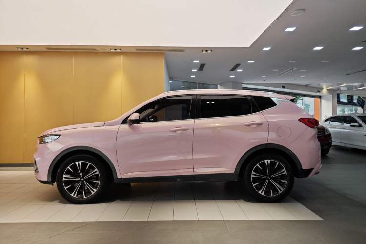 Used Wey VV6 2021 2.0T Two-Wheel Drive Smart Plus Exterior 3