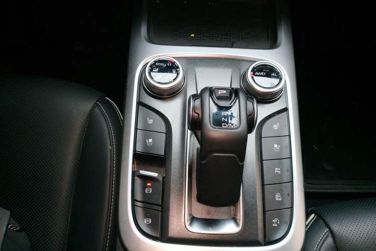 Used Tank 300 2024 2.0T Crosser