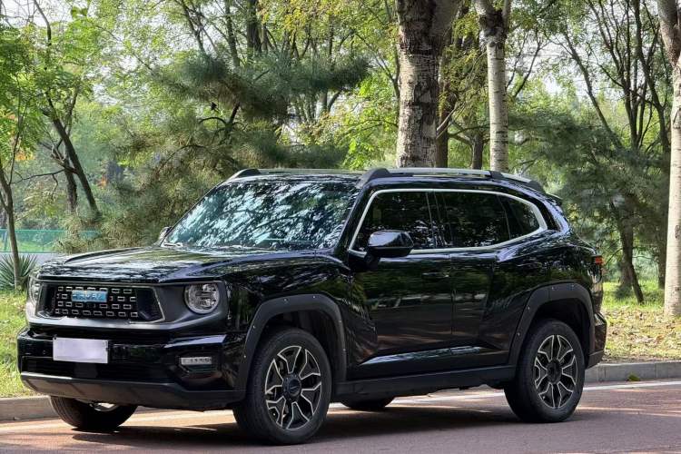 Used Haval H Dog New Energy 2024 Hi4 102km Trend Electric Version Plus