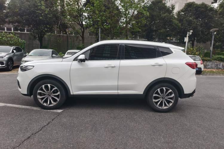 Used Wey VV6 2020 2.0T Two-Wheel Drive Smart Protection+
