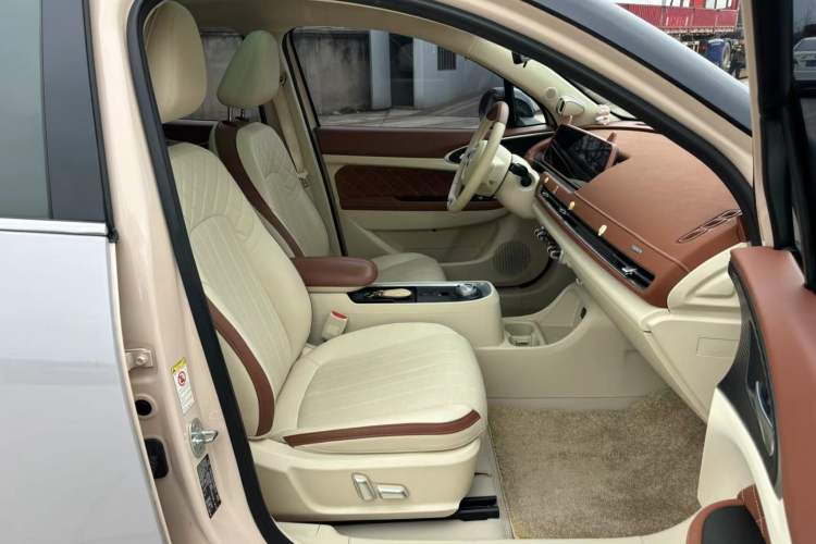 Used ORA Good Cat 2022 Morandi Edition 400km Standard Range Premium Version Lithium Iron Phosphate