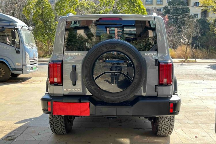 Used Tank 300 2024 2.0T Challenger
