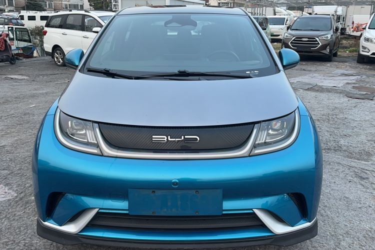 Used BYD Dolphin 2021 401km Knight Edition