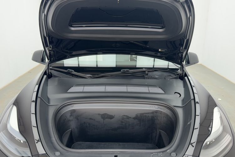 Used Tesla Model Y 2021 Standard Range Rear-Wheel Drive Version
