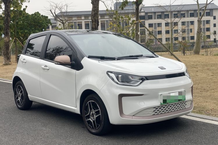 Used SOL E10X 2022 Flower Fairy Design Four-Leaf Clover