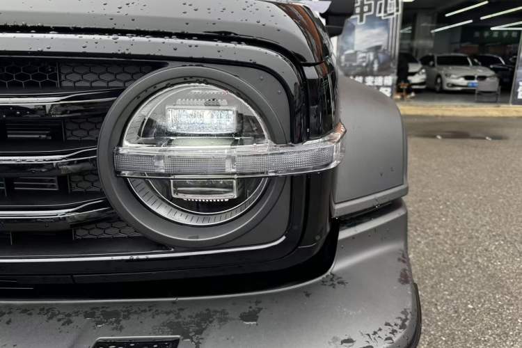 Used Tank 300 New Energy 2025 Hi4-T
