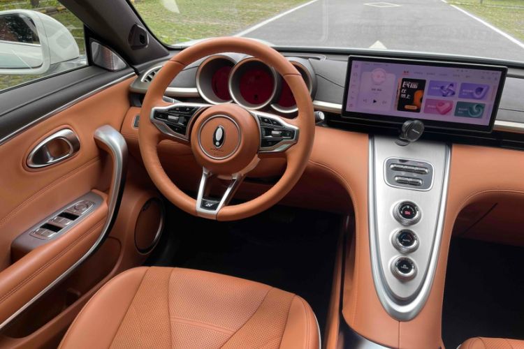 Used ORA Lightning Cat 2022 555 km Luxury Edition
