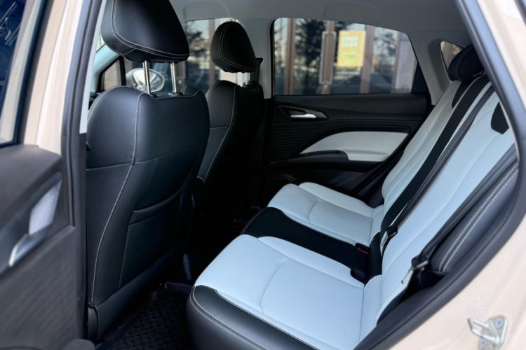 Used NETA AYA 2023 401 Lite