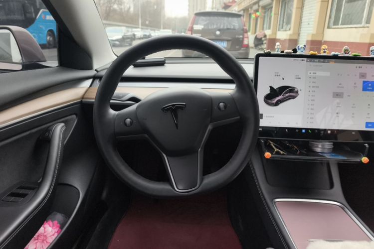 Used Tesla Model 3 2021 Standard Range Rear-Wheel Drive Upgraded Version 3D6