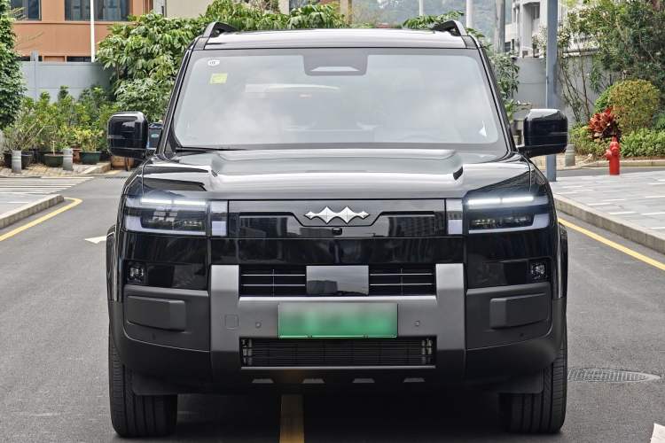 Used Formula Leopard Tai 7 2025 Model 200 km Two-Wheel Drive Max Edition
