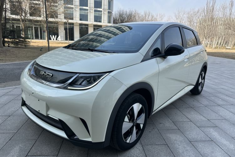 Used BYD Dolphin 2023 420 km Free Version
