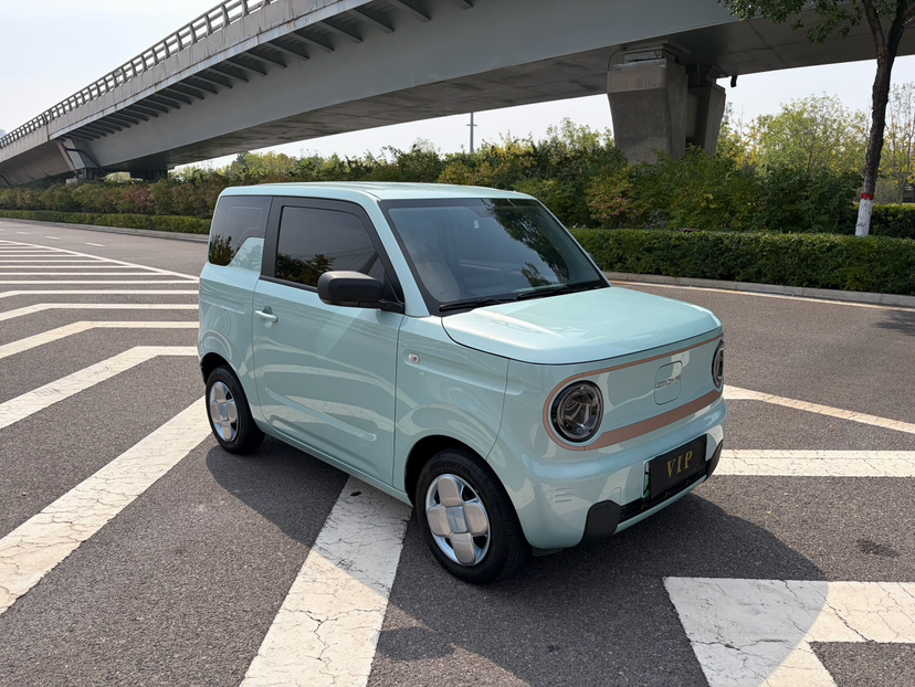 Geely Galaxy Panda 2024 Panda Mini 200km Endurance Bear — снимка 13