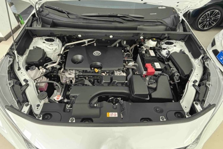 Used Toyota Wildlander 2023 2.0L CVT Two-Wheel Drive Leading Edition