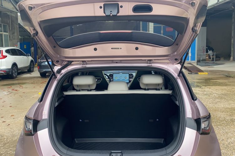 Used BYD Dolphin 2021 405 km Fashion Edition