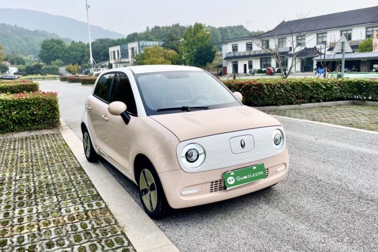 Used ORA Black Cat 2022 Updated Version 301 km Cute Pet Edition Lithium Iron Phosphate
