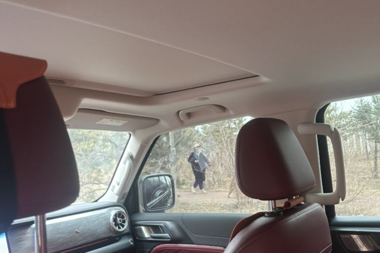 Used Tank 300 2024 2.0T Crosser Interior 7