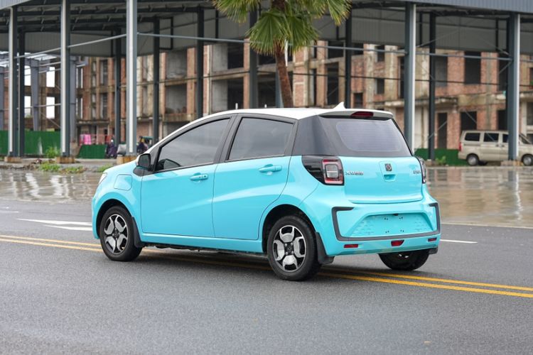 Used SOL E10X 2022 Flower Fairy Style Baby's Breath