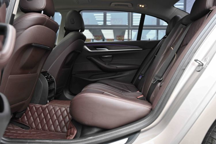 Used BMW 5 Series 2020 530Li Leading Edition Luxury Package