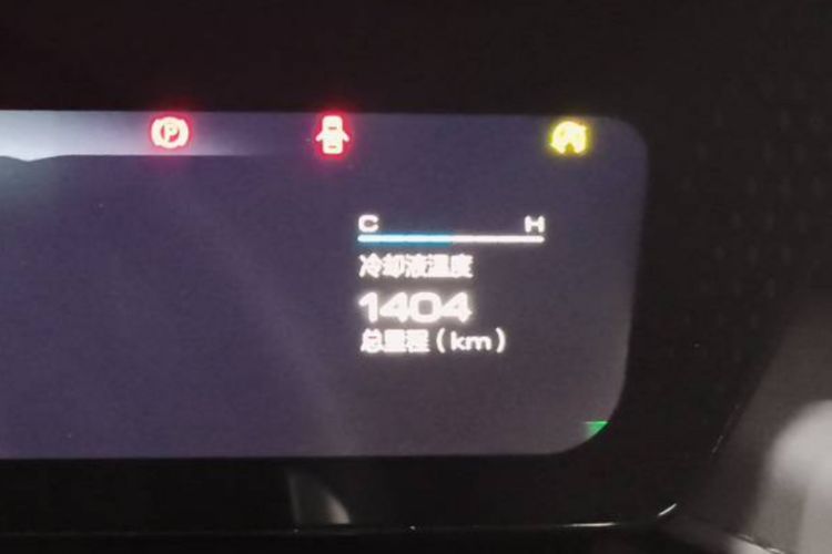 Used Wey Mocha 2021 2.0T Four-Wheel Drive Premium Edition