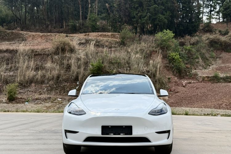 Used Tesla Model Y 2022 Long-Range All-Wheel-Drive Version Exterior 6