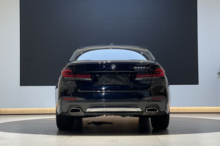 Used BMW 5 Series 2021 530Li Leading Model M Sport Package Exterior 7