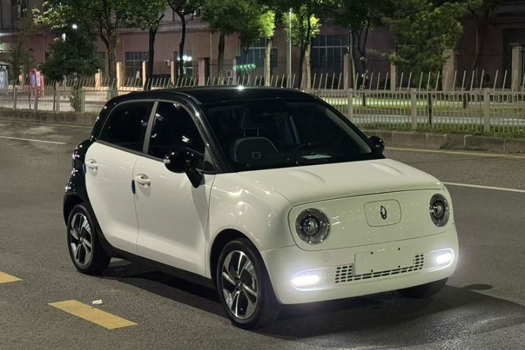 Used ORA Black Cat 2022 351 km HelloKitty Collaboration Edition Lithium-Ion Battery
