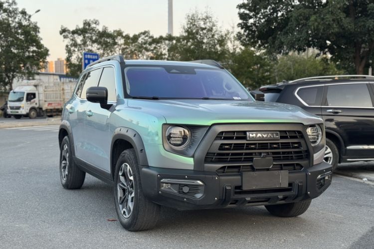 Used Haval DARGO 2024 2.0T DCT Chinese Rural Dog Edition
