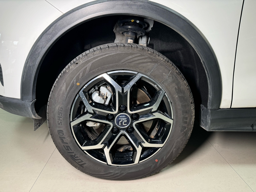 BYD Yuan Pro 2021 "Love for a Lifetime" Edition — снимка 19