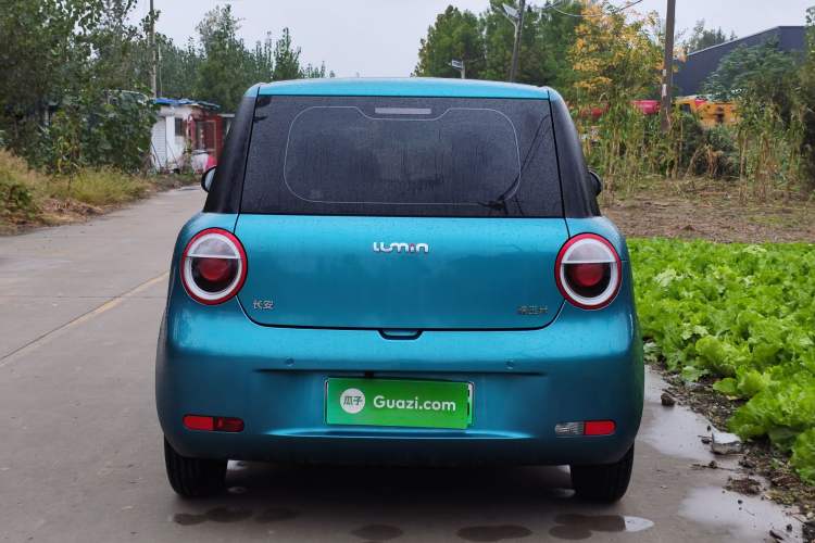 Used Qiyuan Lumin 2022 210km Sweet Edition
