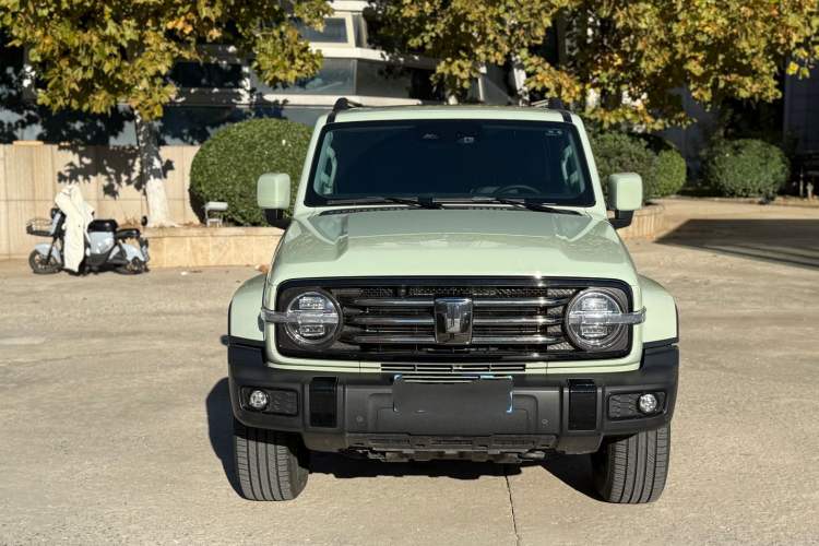 Used Tank 300 2024 2.0T Crosser
