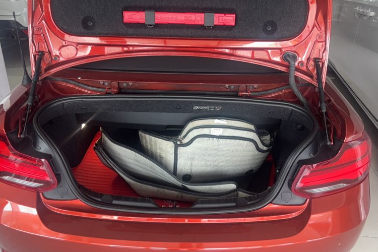 Used BMW 2 Series 2019 225i Convertible Coupe Sports Design Package