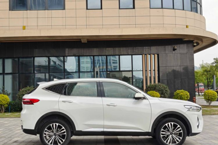 Used Haval F7 2019 2.0T Two-Wheel-Drive i-Van China VI Standard
