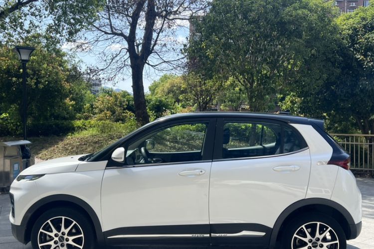 Used Dayun Yuehu 2021 Two-Wheel Drive Standard Version Exterior 6