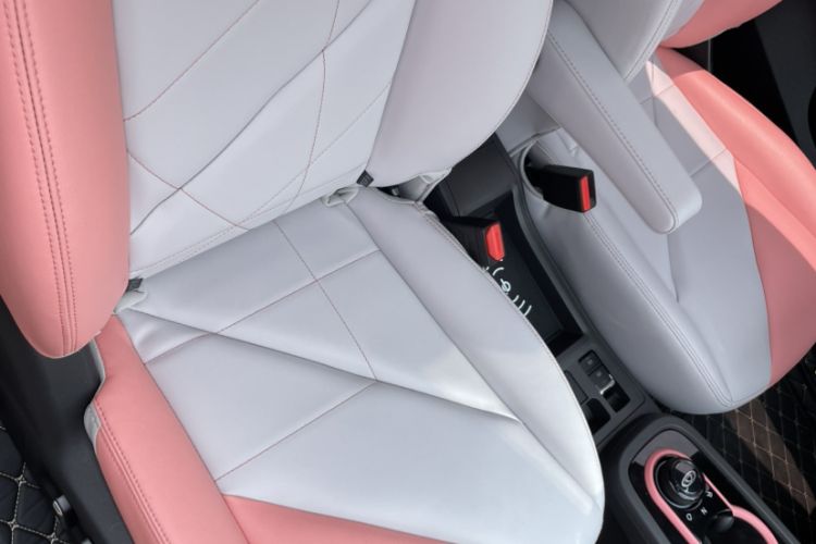 Used Chery New Energy Little Ant 2023 251km True Love Edition Lithium Iron Phosphate
