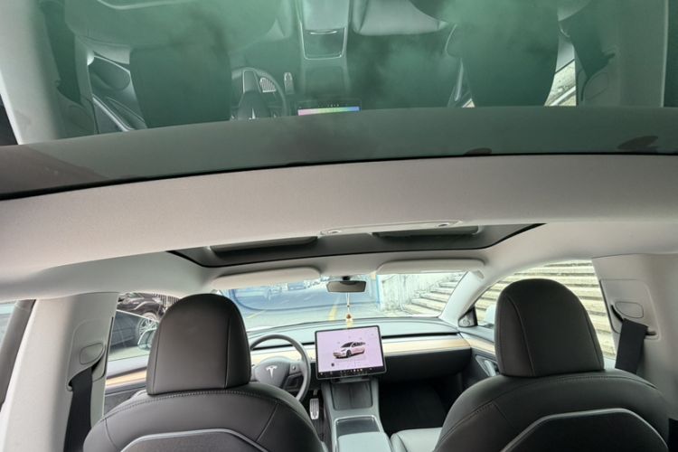 Used Tesla Model 3 2022 Rear-Wheel-Drive Version Headliner