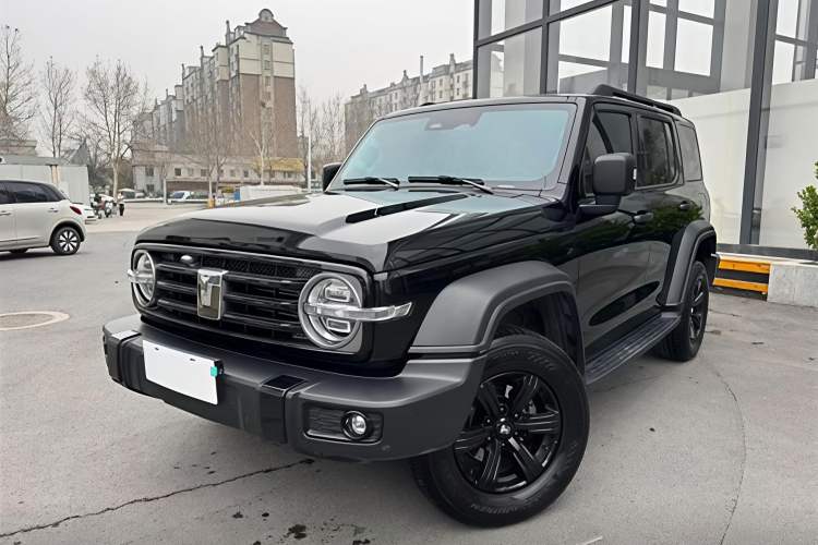 Used Tank 300 2024 2.0T Conqueror