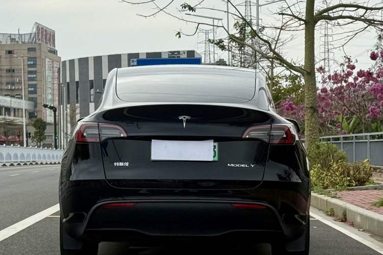 Used Tesla Model Y 2022 Rear-Wheel-Drive Version
