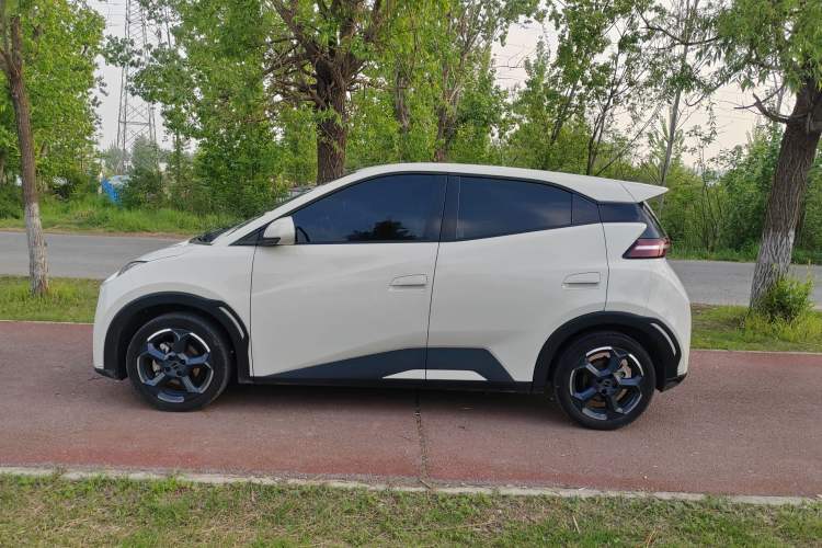 Used BYD Seagull 2023 Free Edition Exterior 6