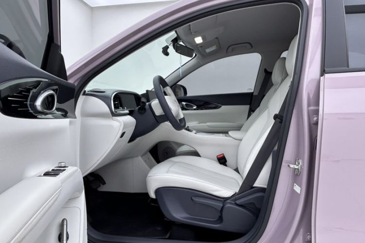 Used Geely Galaxy Geome 2025 310km Youth Edition Left Front Seat