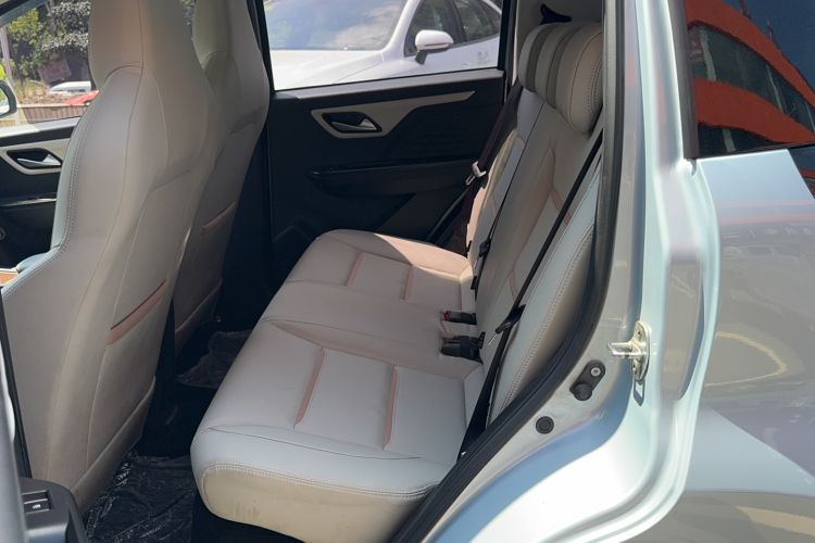 Used SOL E10X 2022 Flower Fairy Design Four-Leaf Clover