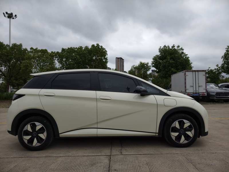 Used BYD Dolphin 2025 420km Fashion Edition — 33