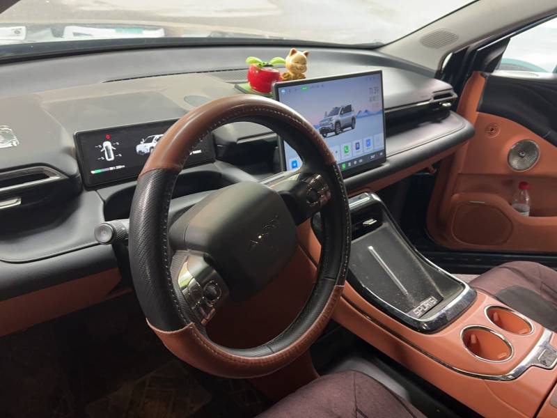 Used AION V 2024 Aion Tyrannosaurus 650 Smart Luxury Edition — 19