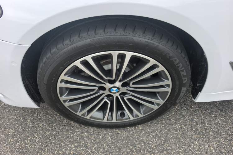 Used BMW 5 Series 2019 530Li Luxury Edition Premium Package Exterior 9