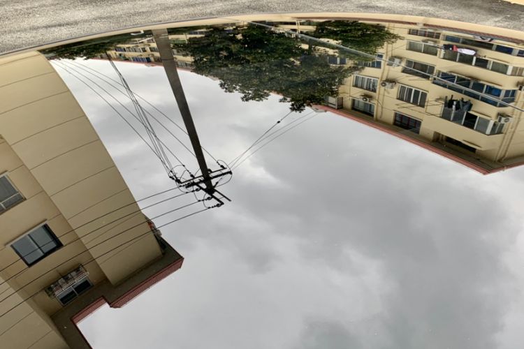 Used Tesla Model 3 2021 Standard Range Rear-Drive Upgraded Version