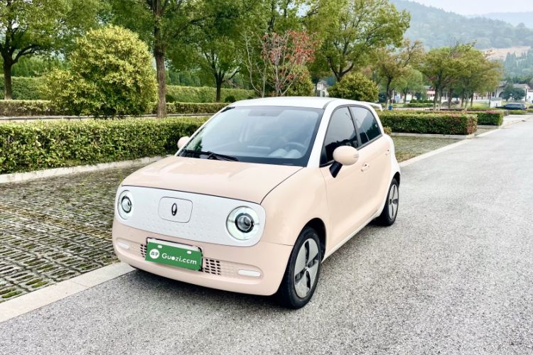 Used ORA Black Cat 2022 Updated Version 301 km Cute Pet Edition Lithium Iron Phosphate