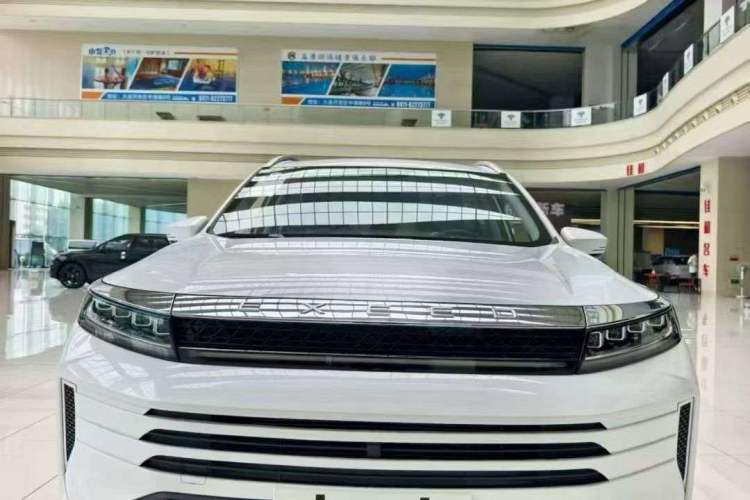 Used EXEED Zhuifeng 2024 1.5T CVT Goodies Peanut Edition Exterior 5